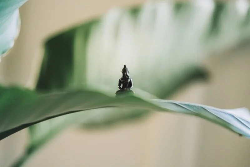 Institut de Beauté Bio et Salon de Massage C'Zennes - Bannière Zen